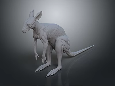 Detailed 3D Kangaroo Model In Standing Pose With White Texture And Gray Background 3d model