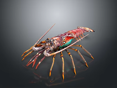 Colorful Aquatic Lobster with Vibrant Red Green Hues and Orange Tipped Leg Design 3d model