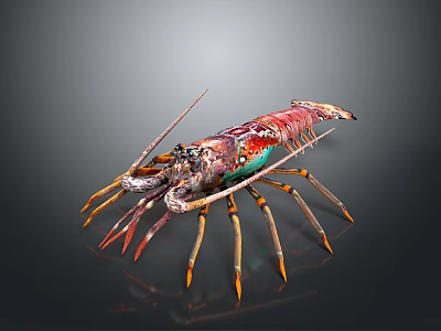 lobster big lobster crystal lobster cartoon lobster marine animal fish freshwater fish marine fish animal 3d model