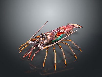 lobster big lobster crystal lobster cartoon lobster marine animal fish freshwater fish marine fish animal 3d model