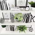 Books And Magazines On White Shelves With Green Plants Picture Frames And Decorative Items