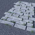 Natural Stone Stepping Stones Path With Grass Growing In Gaps For Garden