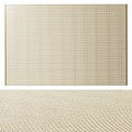 Modern Rectangular Carpet 3d model