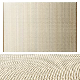 Modern Rectangular Carpet 3d model
