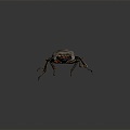 Modern beetle dung beetle beetle chafer 3d model