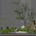 Courtyard Garden Design With Gray Concrete Walls Small Tree Ferns Stones And White Pebbles
