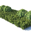 Well Trimmed Green Bushes In Landscaped Garden With Rounded Shapes And Lush Foliage