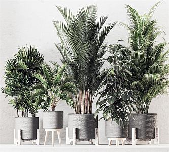 Modern Potted Plant Potted Plant Green Plant Combination Bonsai Plant Flower Pot Ornaments Plant Pile Indoor Green Plant Indoor Flower Pot 3d model