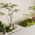 Indoor Plant Combinations with Small Trees Ferns Stones Moss and White Pebbles Decorative Arrangement