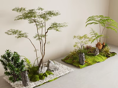 Indoor Plant Combinations with Small Trees Ferns Stones Moss and White Pebbles Decorative Arrangement 3d model