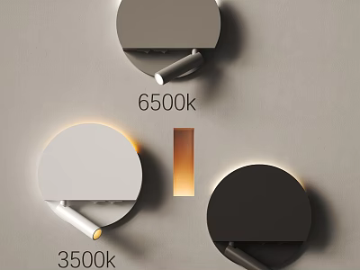 Modern Minimalist Wall Lamps In Gray Black With 3500k 6500k Warm Cool Lighting 3d model