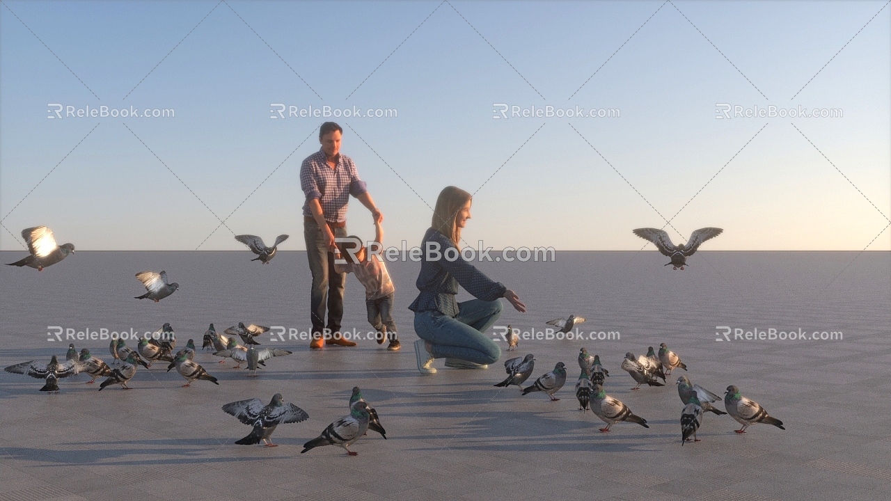 Pigeon Bird Animal Feeding Pigeon Feeding Square Pet Feeding 3d model