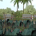 Garden Landscape With Wooden Fence Bamboo Structures Palm Trees Green Plants And Blue Sky