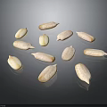 White Shelled Sunflower Seeds as Healthy Snack Arranged on Black Reflective Surface