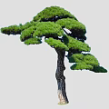 Diverse Plant Combination with Varied Tree Shapes for Garden Landscaping Design