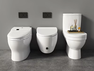 Three Modern White Toilets in Bathroom Interior with Tray of Aromatherapy Products 3d model