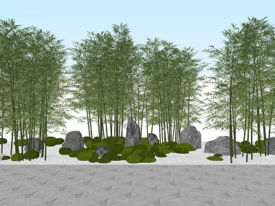 Tall Bamboo Grove Landscape With Green Grass Stones And Stone Pavement 3d model