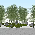 Tall Bamboo Grove Landscape With Green Grass Stones And Stone Pavement