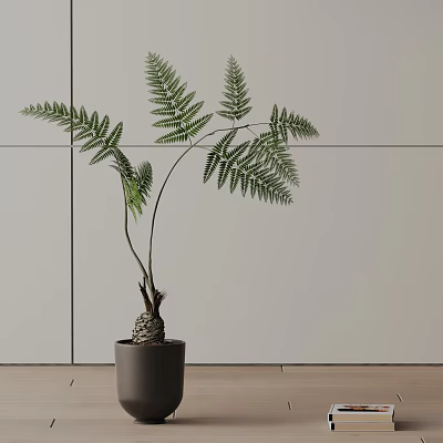 Lush Bonsai Potted Fern Plant in Black Pot with Light Colored Wall and Wooden Floor 3d model