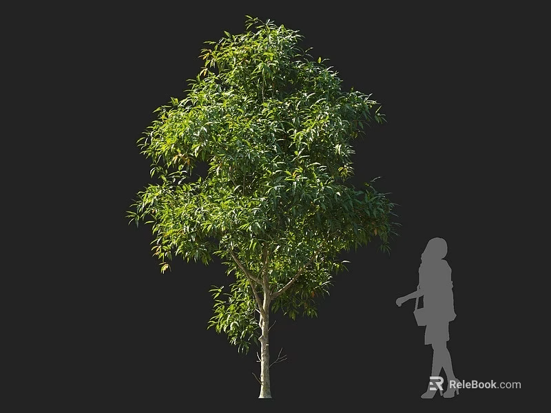 Tall Lush Green Arbor With Dense Foliage Next To Human Silhouette 3d model 