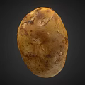 Single Whole Fresh Organic Potato With Natural Brown Skin And Texture On Dark Background