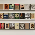 Neatly Arranged Books and Magazines on Shelves with Various Cover Designs