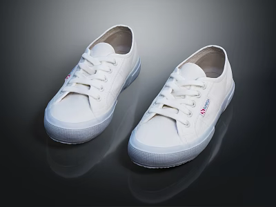 White Canvas Lace Up Low Top Shoes With Rubber Sole Brand Logo And Reflective Surface 3d model