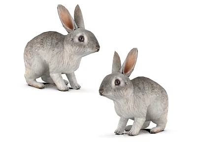 Two Gray Rabbit Figurines Sitting On White Background With Realistic Details 3d model