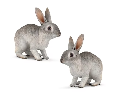 Two Gray Rabbit Figurines Sitting On White Background With Realistic Details 3d model