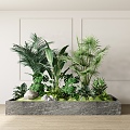 Modern Green Plant Combination 3d model