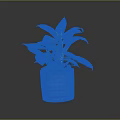 Green Leafy Plant in Blue Textured Pot on Dark Background with Healthy Lush Foliage