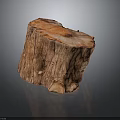 Plant Based Natural Tree Stump With Rustic Wood Texture For Home Decor