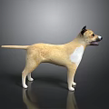 Light Brown Dog With White Patches 3D Model Standing On Shiny Reflective Gray Gradient Floor
