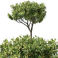 Weatherproof Outdoor Storage Lockers Surrounded by Green Trees and Bushes