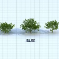 Peach Trees As Arbor With Different Sizes And Green Foliage In Grid Background 3d model