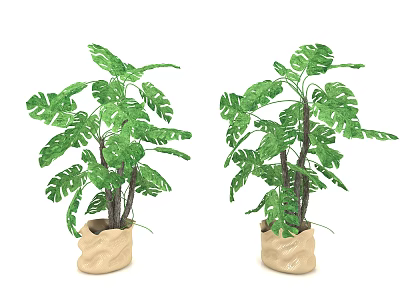 Modern potted plants 3d model