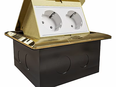 Golden Cover Electrical Box With Dual Power Sockets And Hidden Design 3d model