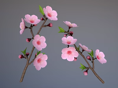 Beautiful Pink Flowers on Branches with Green Leaves and Flower Buds 3d model