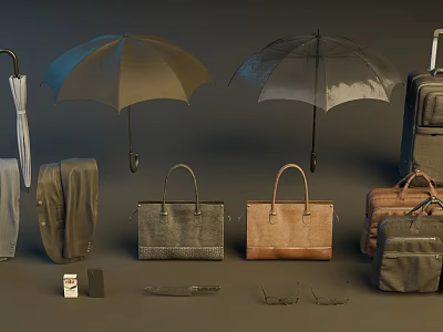 Everyday Travel Accessories Collection Featuring Umbrellas Handbags Suitcases Glasses and Wallets 3d model