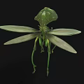 Green Insect Like Creature Character Design With Long Legs Wings And Large Head Structure