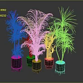 Various Potted Plants With Green And Red Leaves In Black Pots