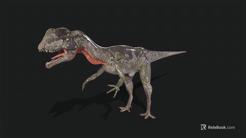 Realistic Green And Red Dinosaur Model With Open Mouth On Black Background 3d model 