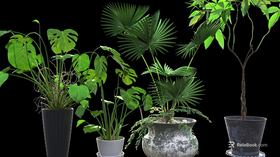 Potted Plants With Monstera Leaves Palm Fronds And Ceramic Vintage Planters 3d model 
