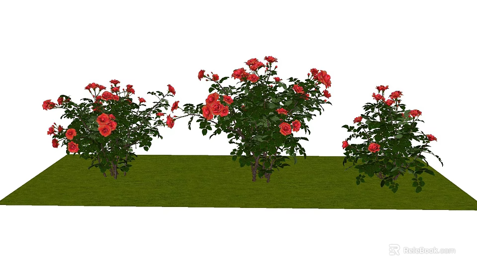 Beautiful Blooming Red Rose Bushes Growing On Lush Green Grass 3d model 