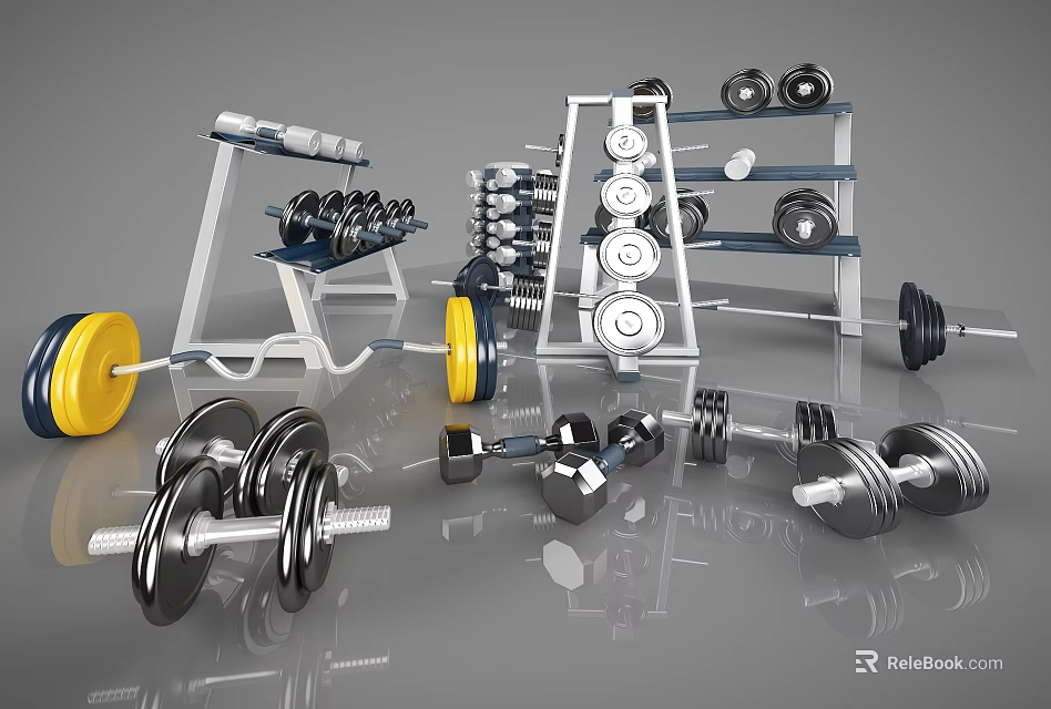 Organized Sports Equipment Collection With Dumbbells Barbells Weight Plates And Racks 3d model 