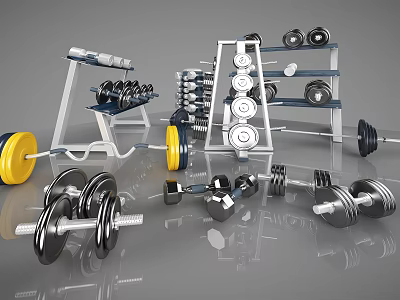 Organized Sports Equipment Collection With Dumbbells Barbells Weight Plates And Racks 3d model