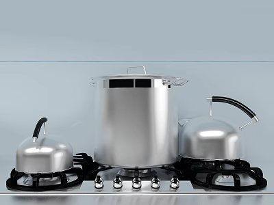 Stainless Steel Kitchen Appliances Featuring Pots with Lids and Gas Stove Knobs 3d model