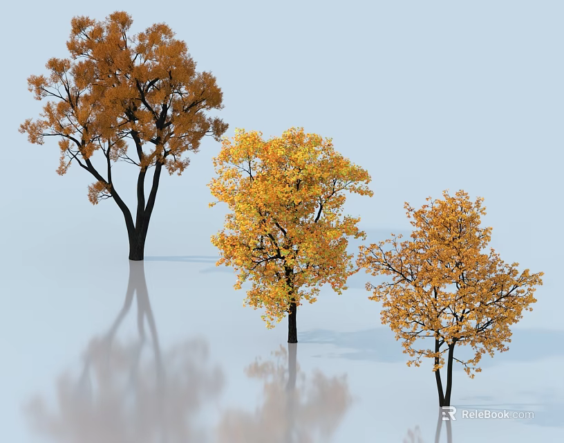 Three Orange Yellow Leaf Trees With Reflections On Light Blue Background 3d model
