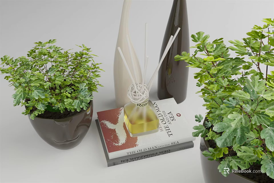 Potted Bonsai Plants With Lush Green Foliage And Decorative Books Vases 3d model 