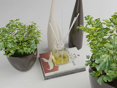 Potted Bonsai Plants With Lush Green Foliage And Decorative Books Vases 3d model